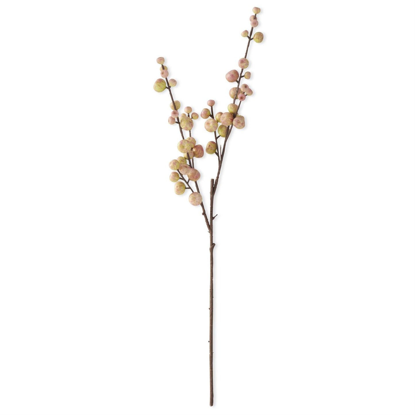 28 Inch Crabapple Stem
