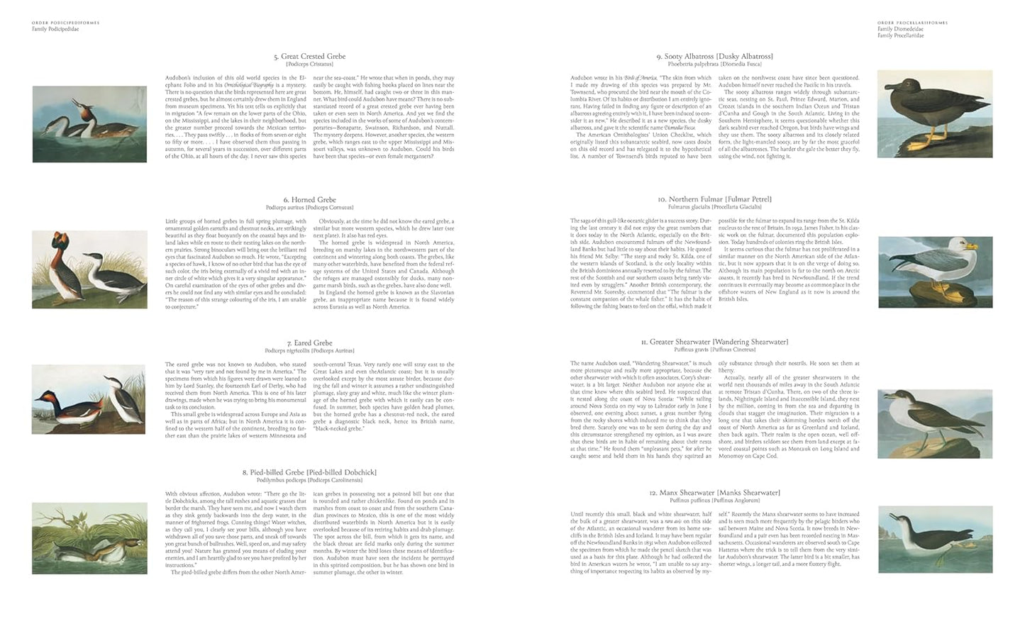 Audubon's Birds of America