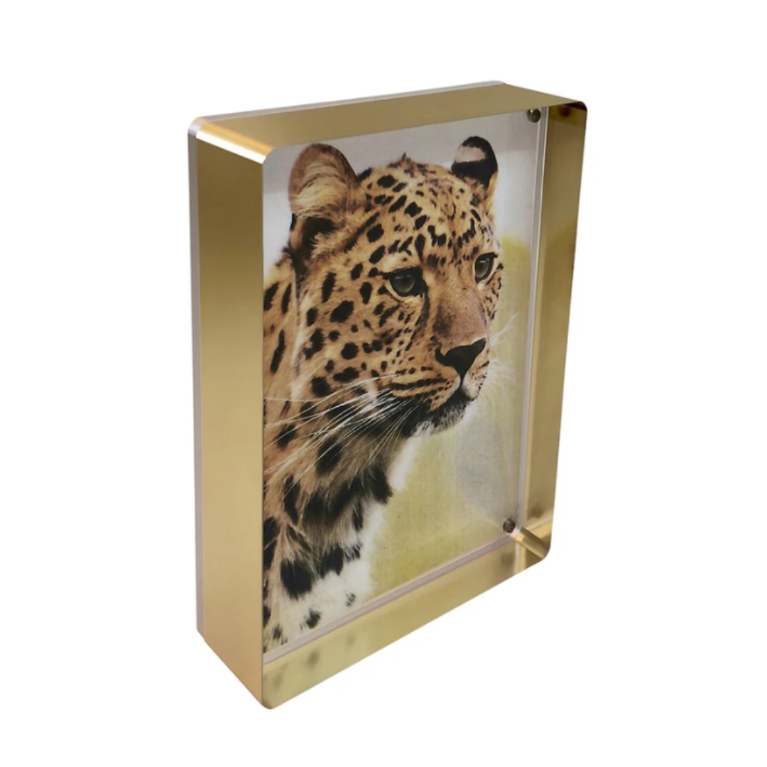 Prestige Magnet Frame