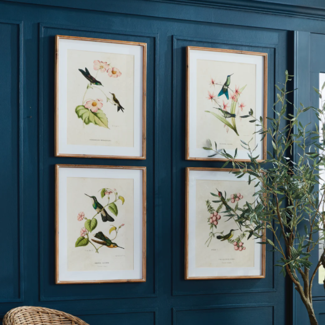 Hummingbirds With Blush Blooms