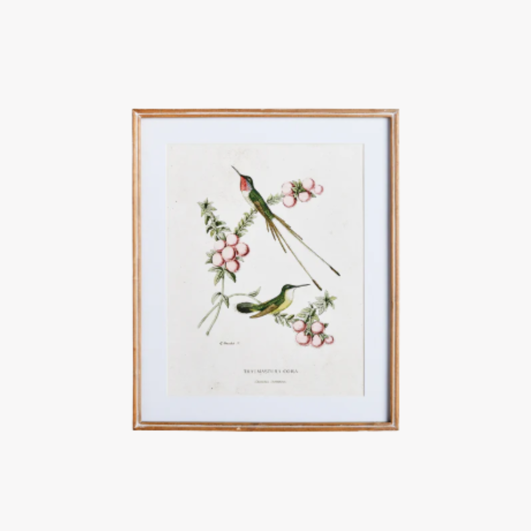 Hummingbirds With Blush Blooms