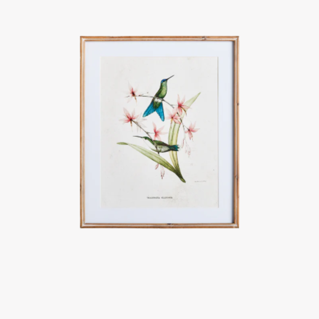 Hummingbirds With Blush Blooms