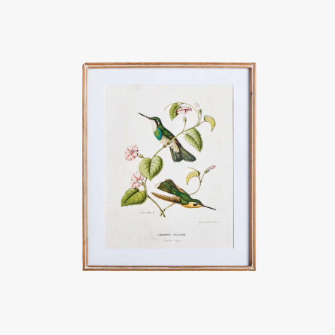 Hummingbirds With Blush Blooms