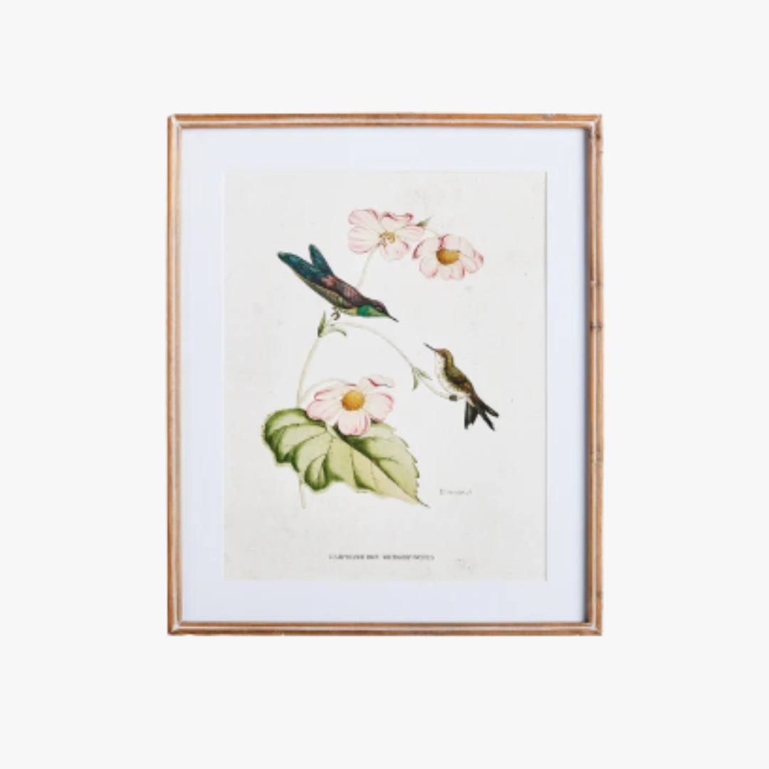 Hummingbirds With Blush Blooms