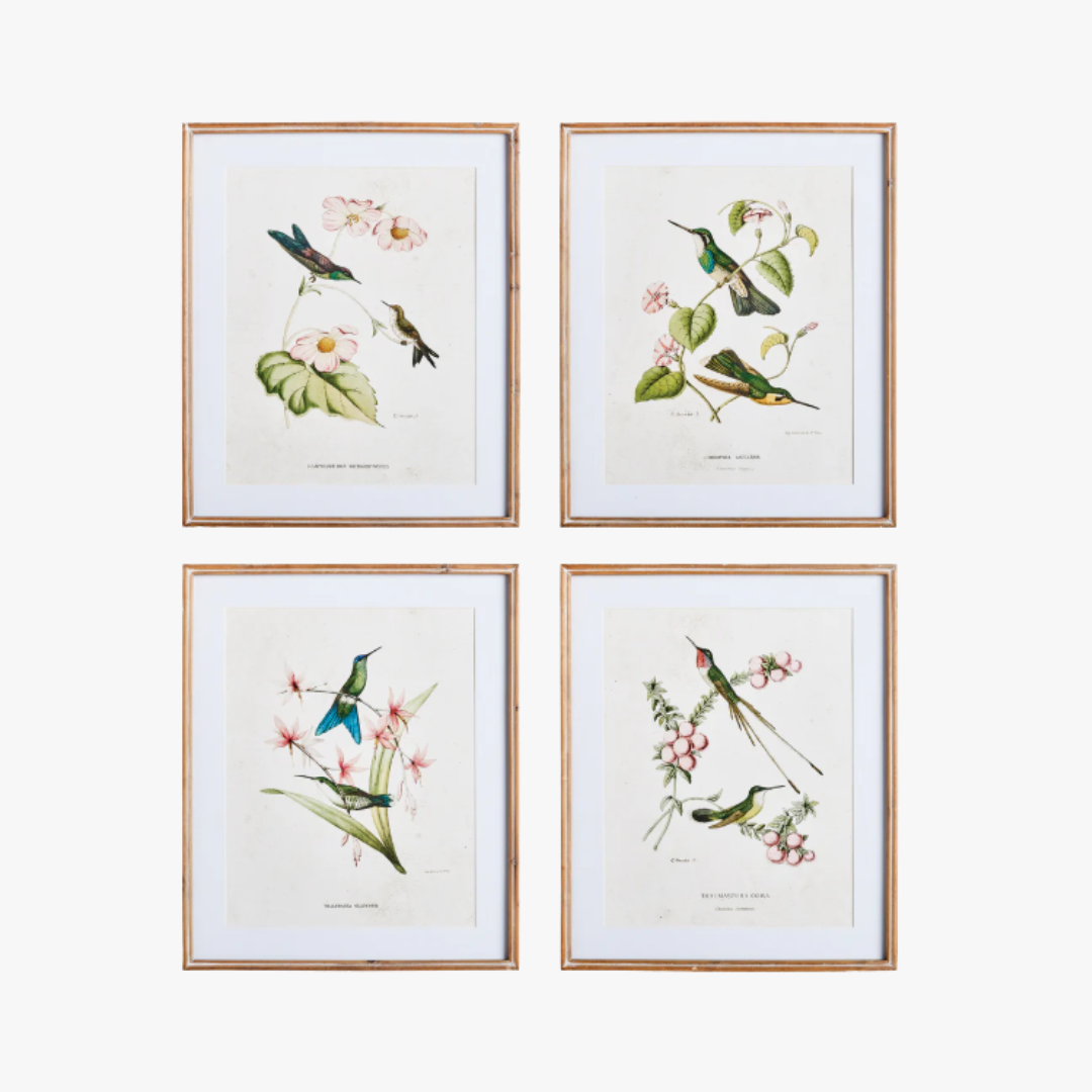 Hummingbirds With Blush Blooms
