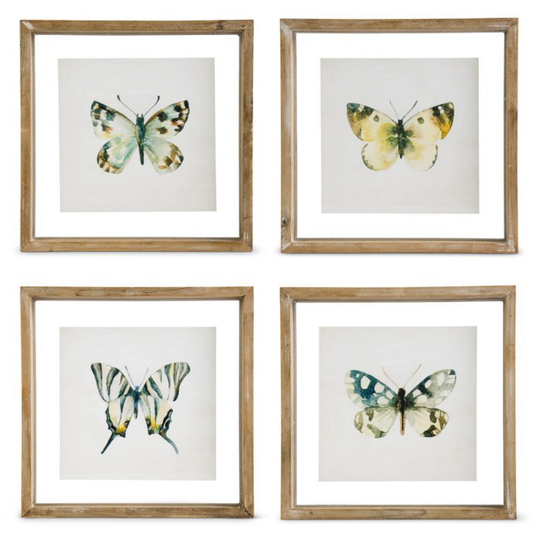 Assorted 10 Inch Whitewashed Shadowbox Framed Butterfly Prints
