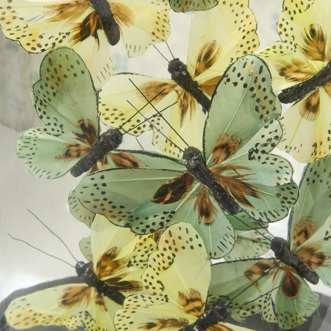Flora and Fauna Butterflies in Oval Dome