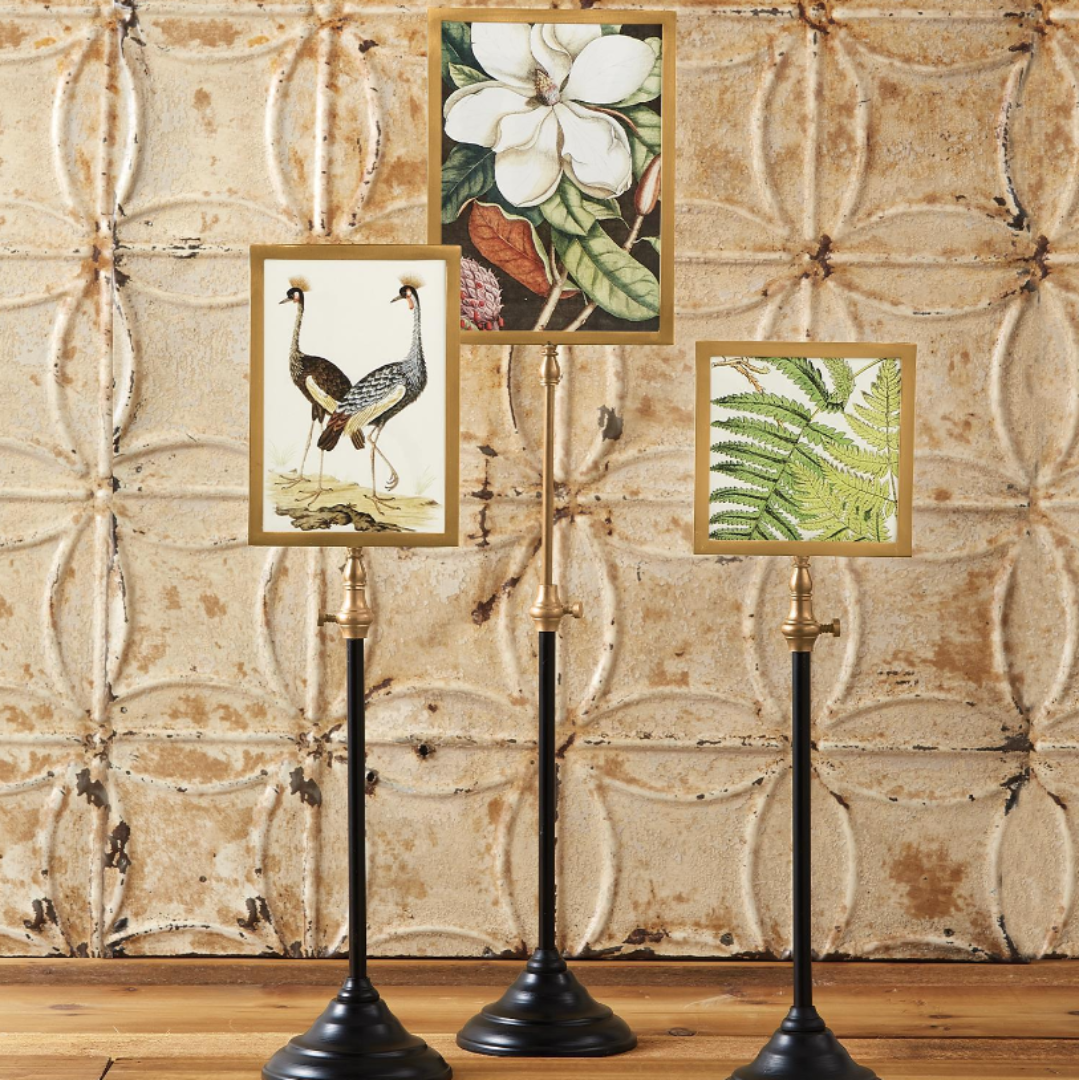 Telescoping Pole Photo Frames