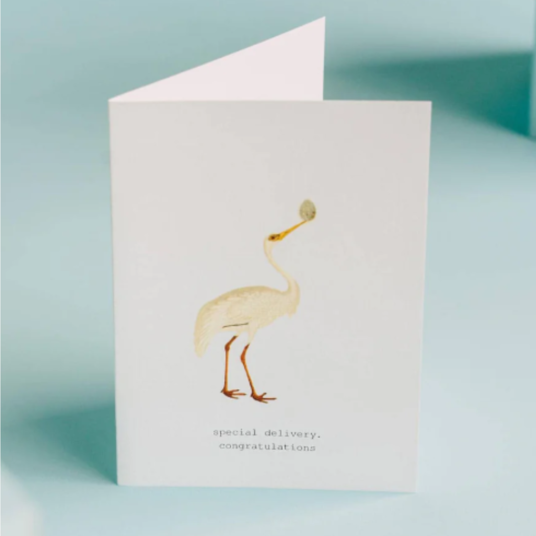 Special Delivery Greeting Card