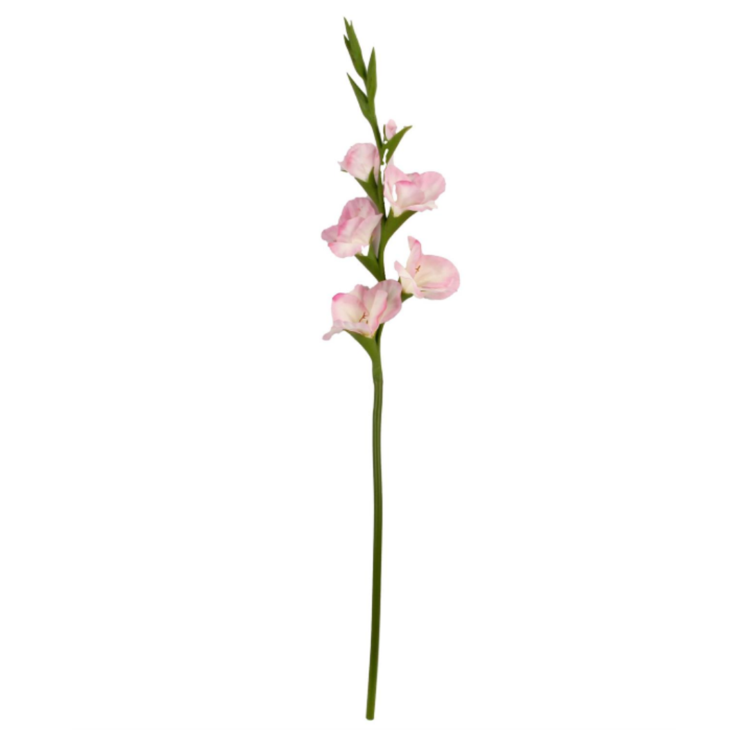 34 Inch Pink Real Touch Gladiolus