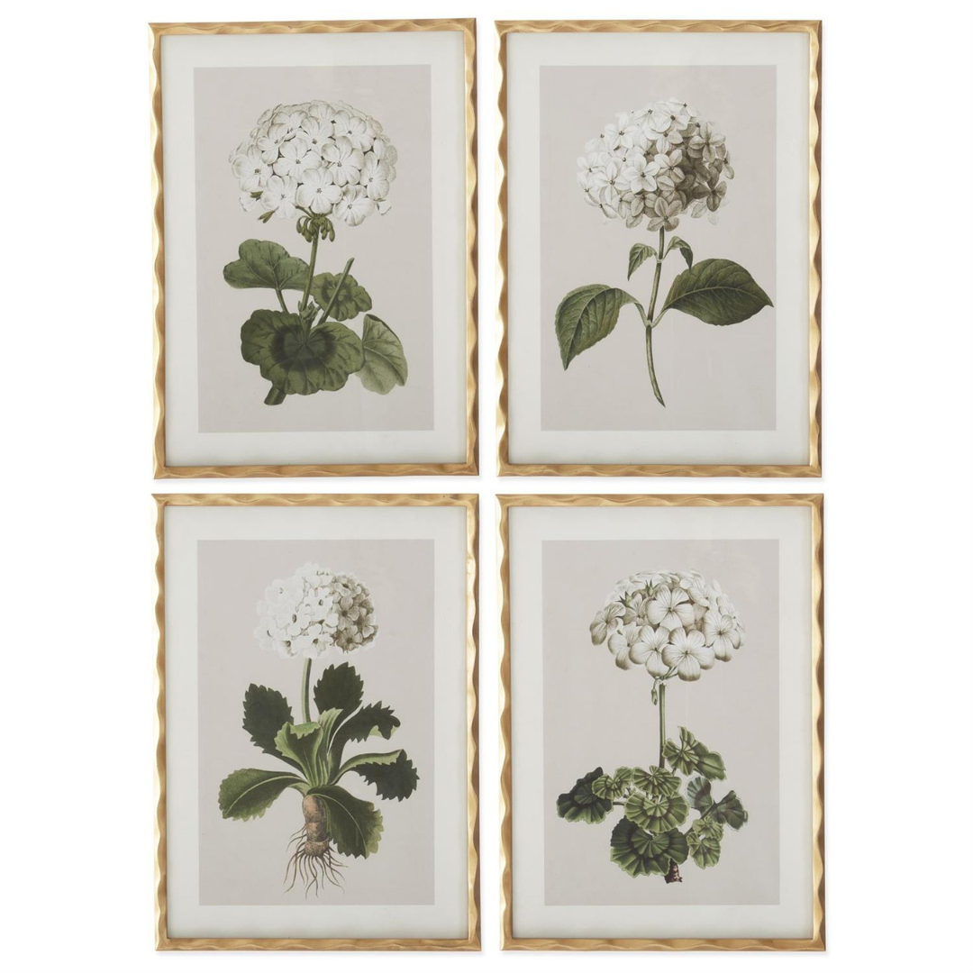 27.5 Inch Gold Ornate Wood Framed White Geranium Prints