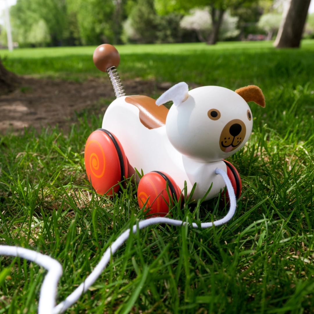 Wiggles the Dog Pull Toy