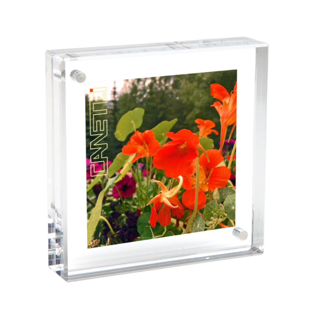 Original Magnet Frame