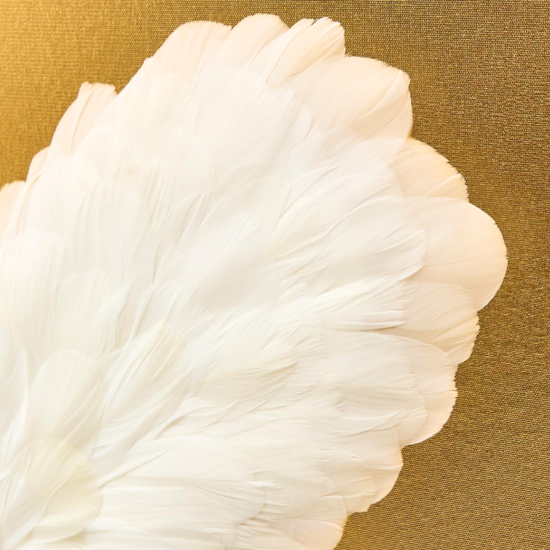 Butterfly in Feathers Shadow Box Wall Art