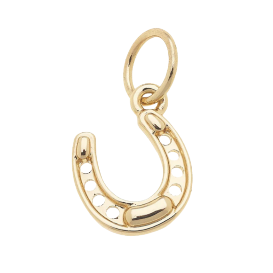 Lucky Horseshoe Charm