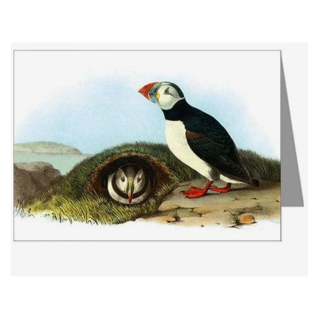 Audubon Birds of America Notecards