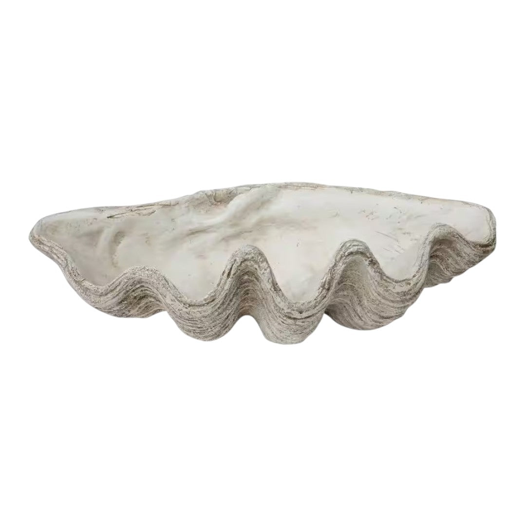 Magnesia Seashell Decor