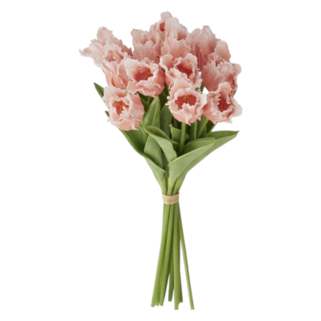 Orange/Peach Parrot Tulip Bundle