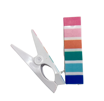 Summer Oasis Beach Towel Clips