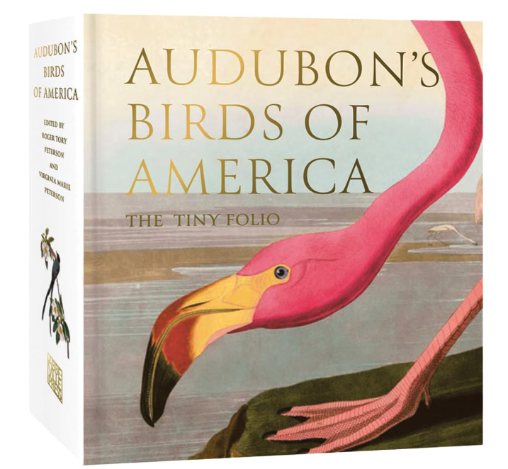 Audubon's Birds of America