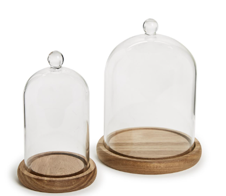 Cloche with Wooden Base