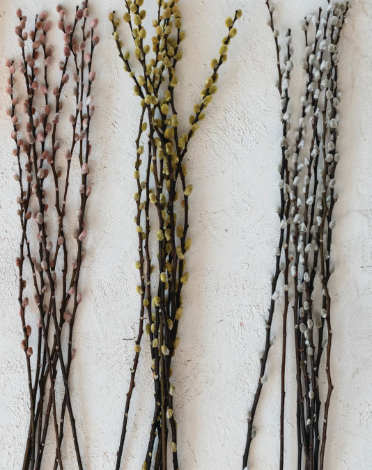 Dried Willow Bunch