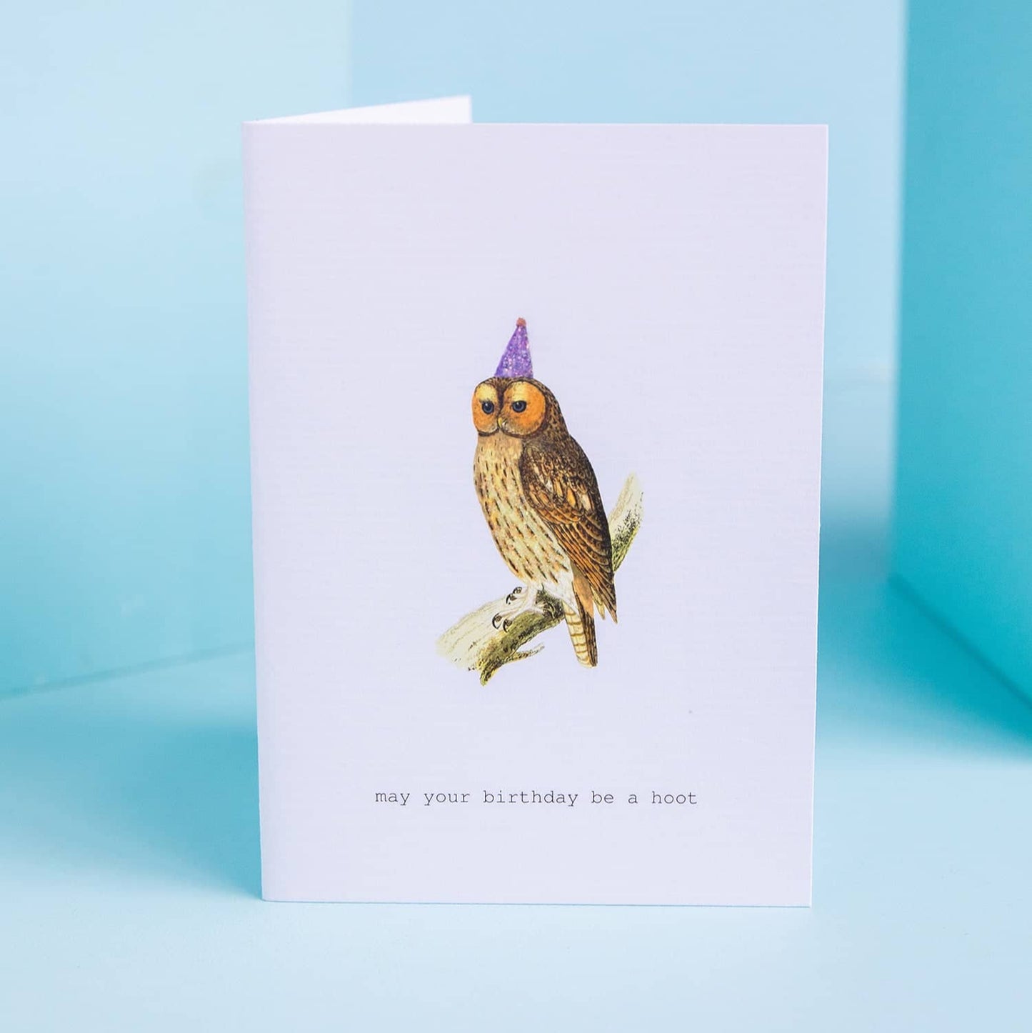 Birthday Hoot Greeting Card
