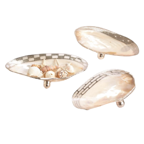 Ornamented Cabebe Shell Decorative Footed Tray