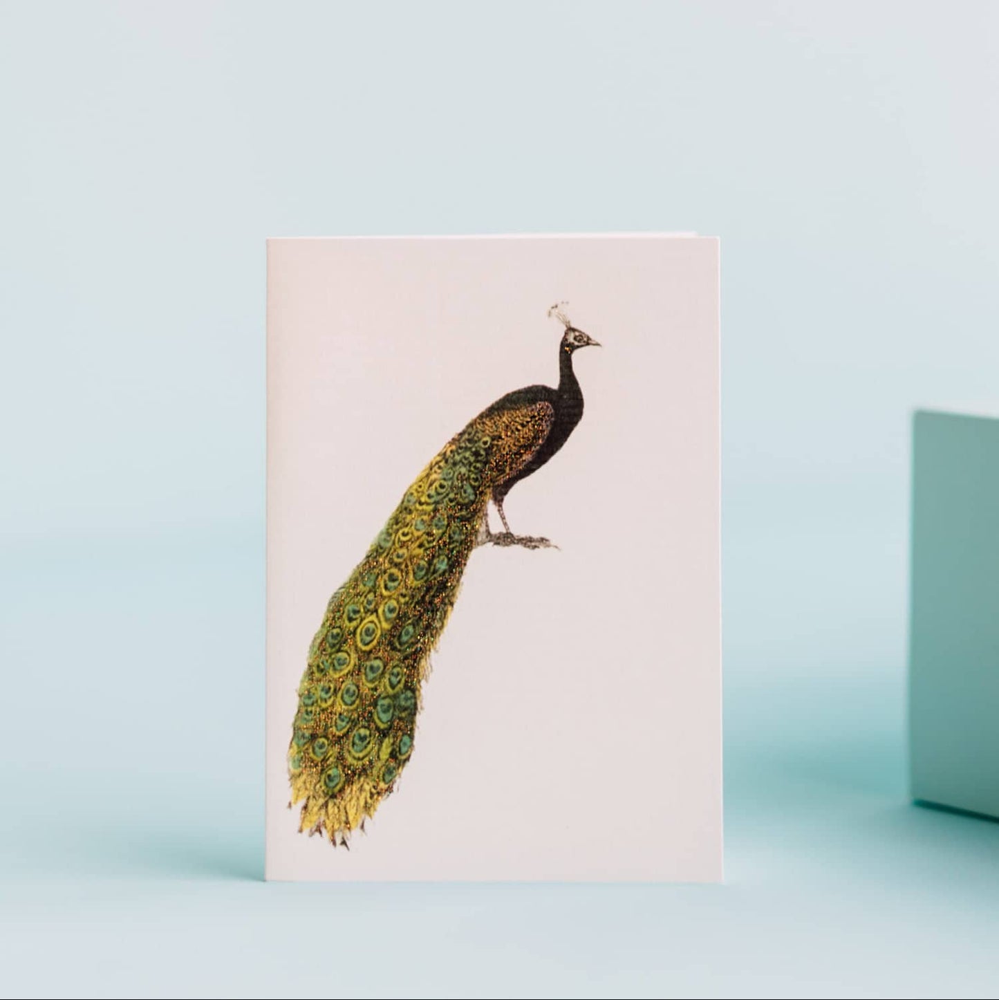 Peacock Greeting Card