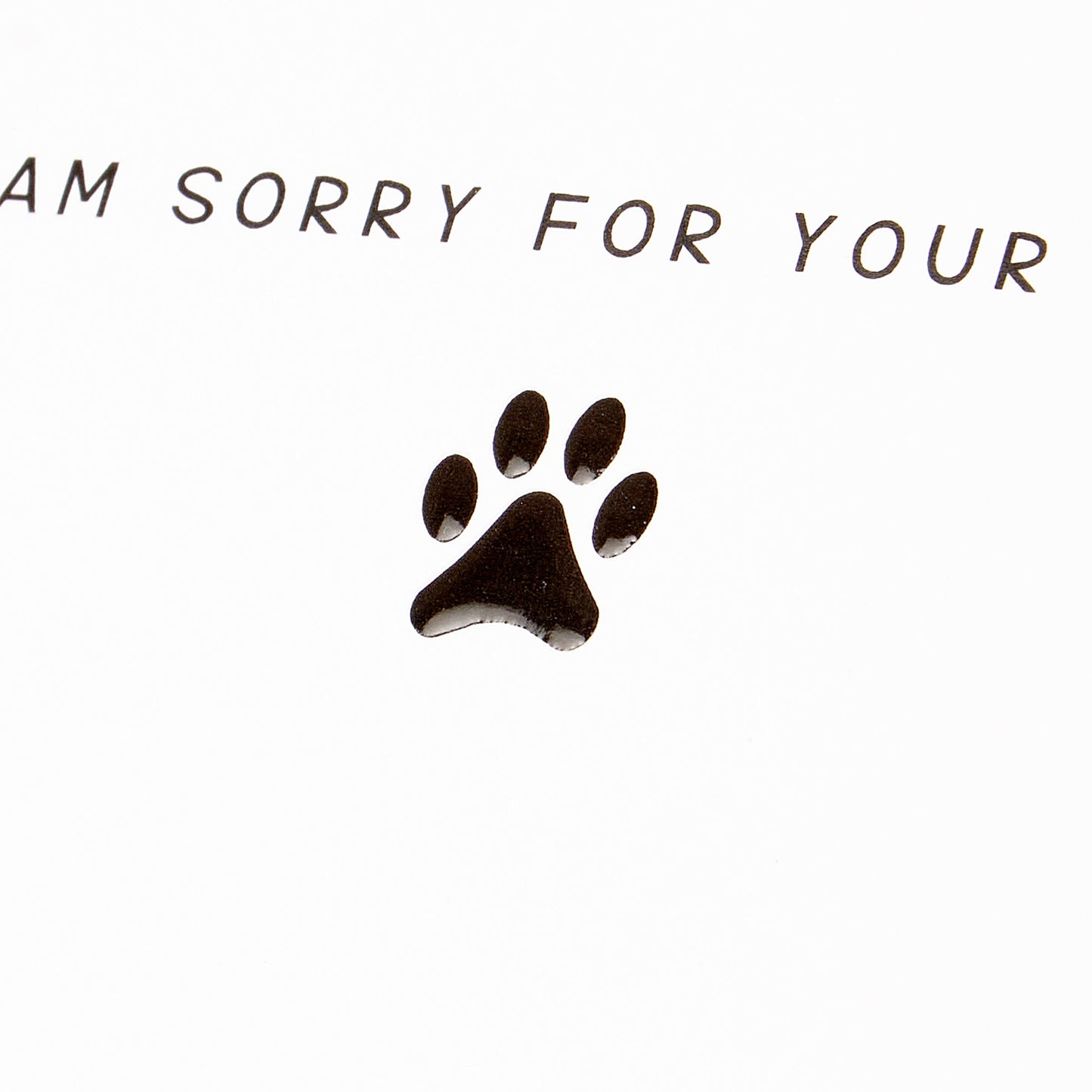 Furever Greeting Card