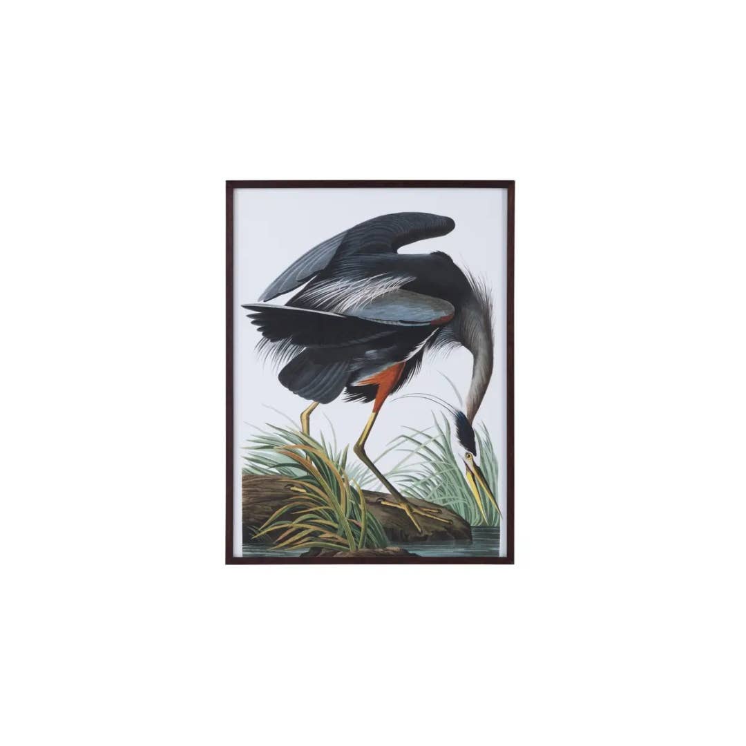 Audubon Great Blue Heron Framed Print