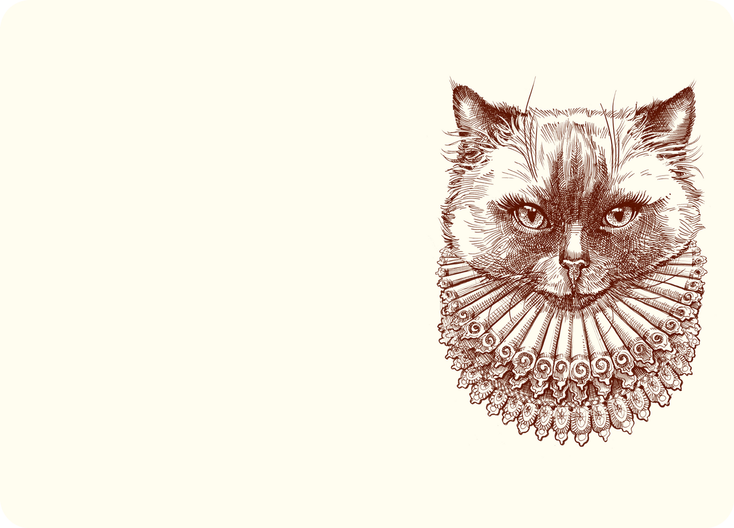 Madame Kitty Notes
