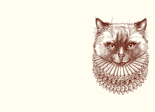 Madame Kitty Notes