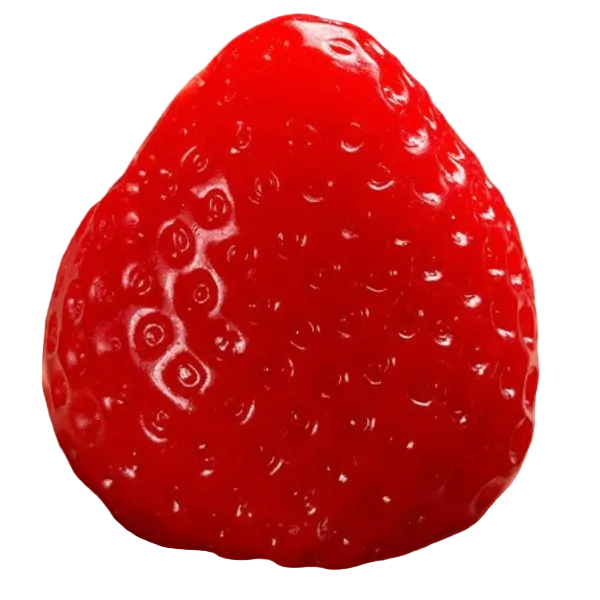 Strawberry Squishy Toy
