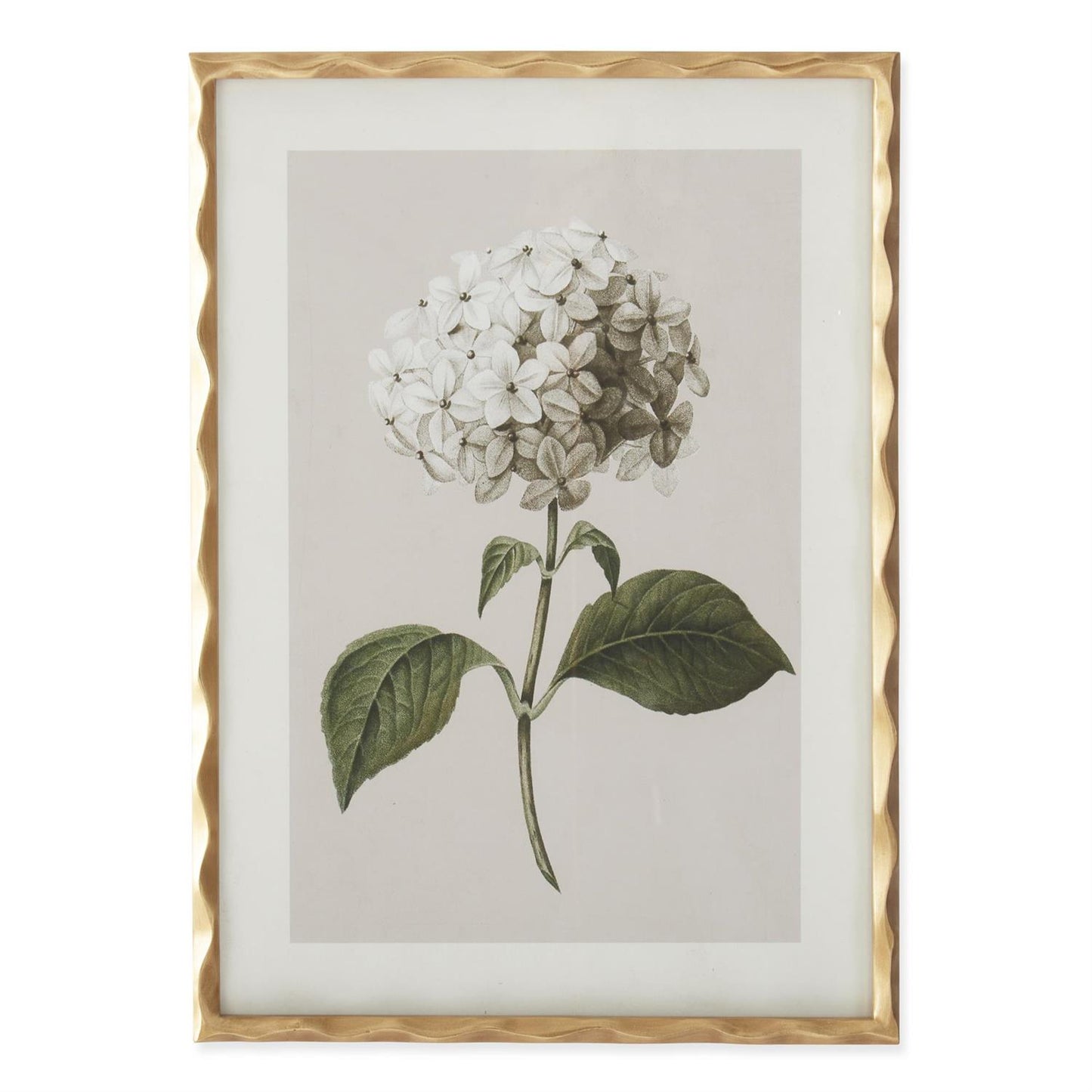 27.5 Inch Gold Ornate Wood Framed White Geranium Prints