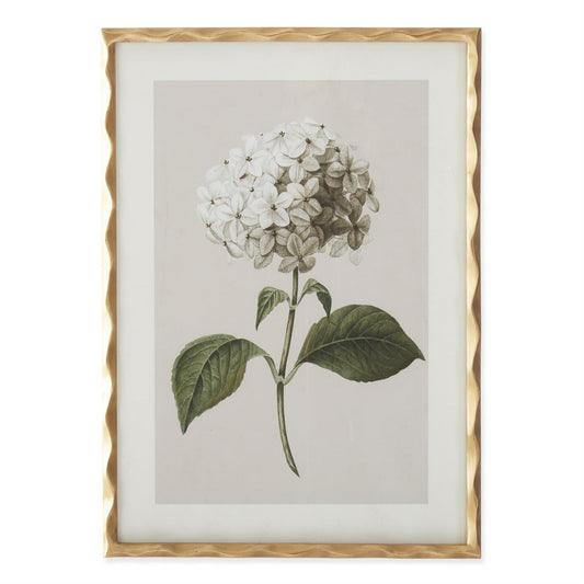 27.5 Inch Gold Ornate Wood Framed White Geranium Prints