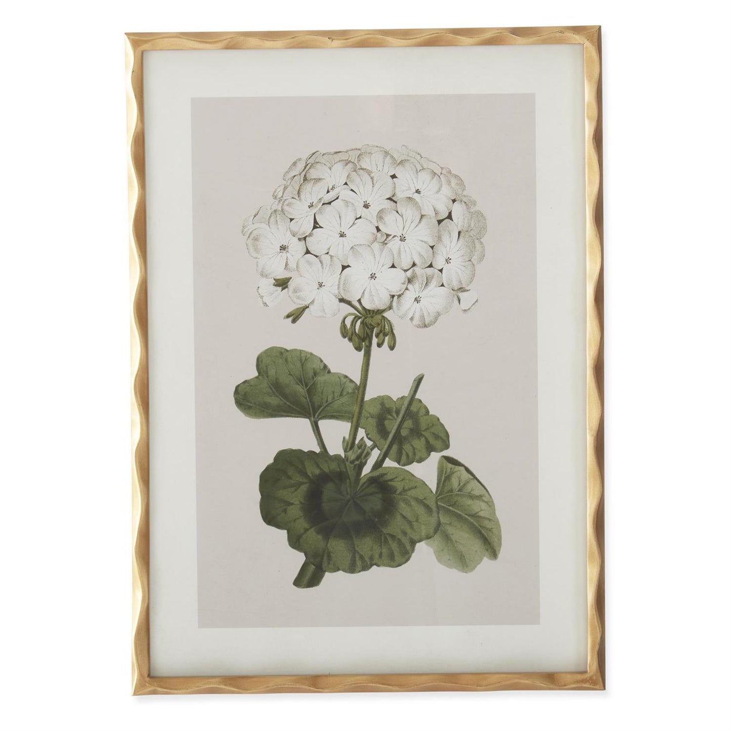 27.5 Inch Gold Ornate Wood Framed White Geranium Prints