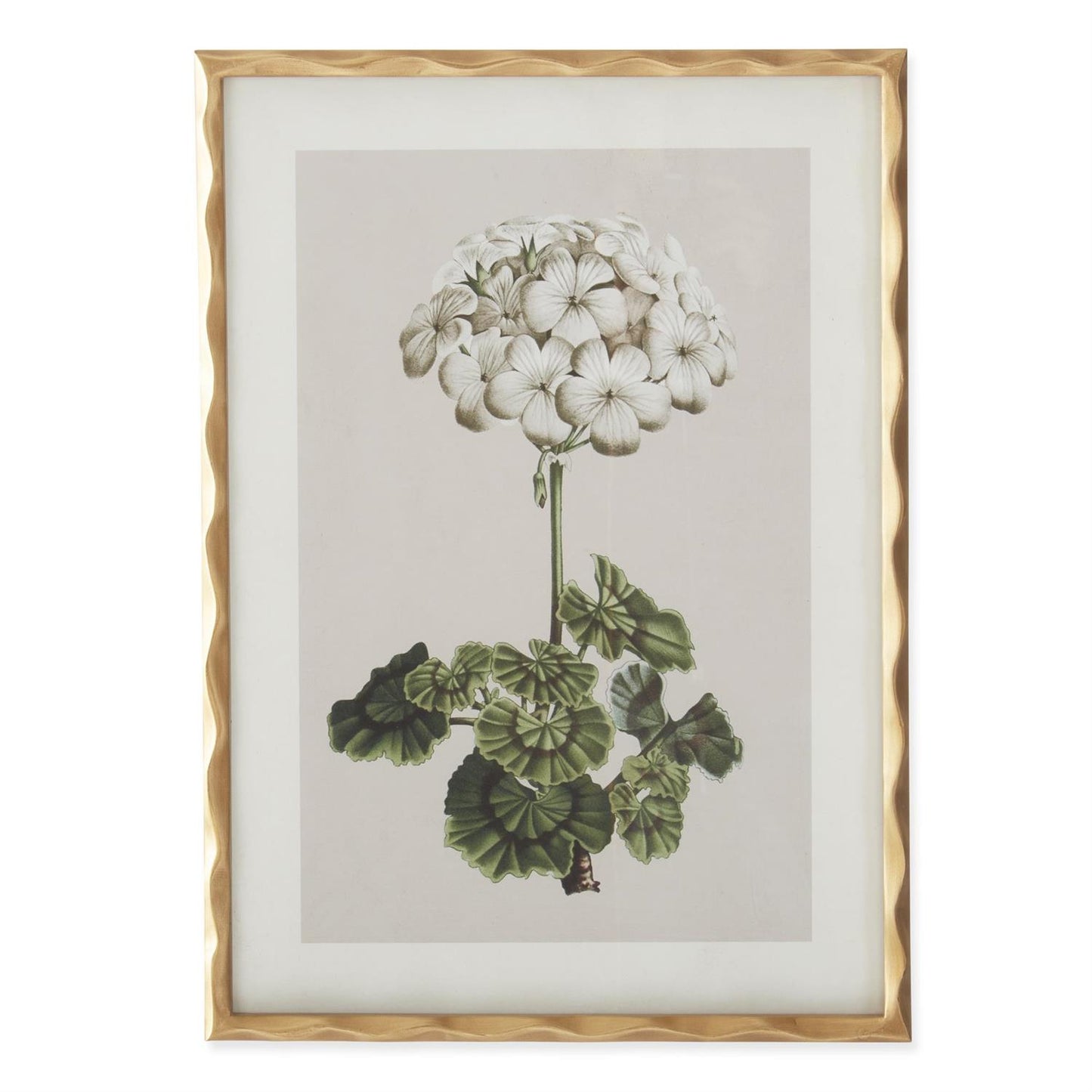 27.5 Inch Gold Ornate Wood Framed White Geranium Prints