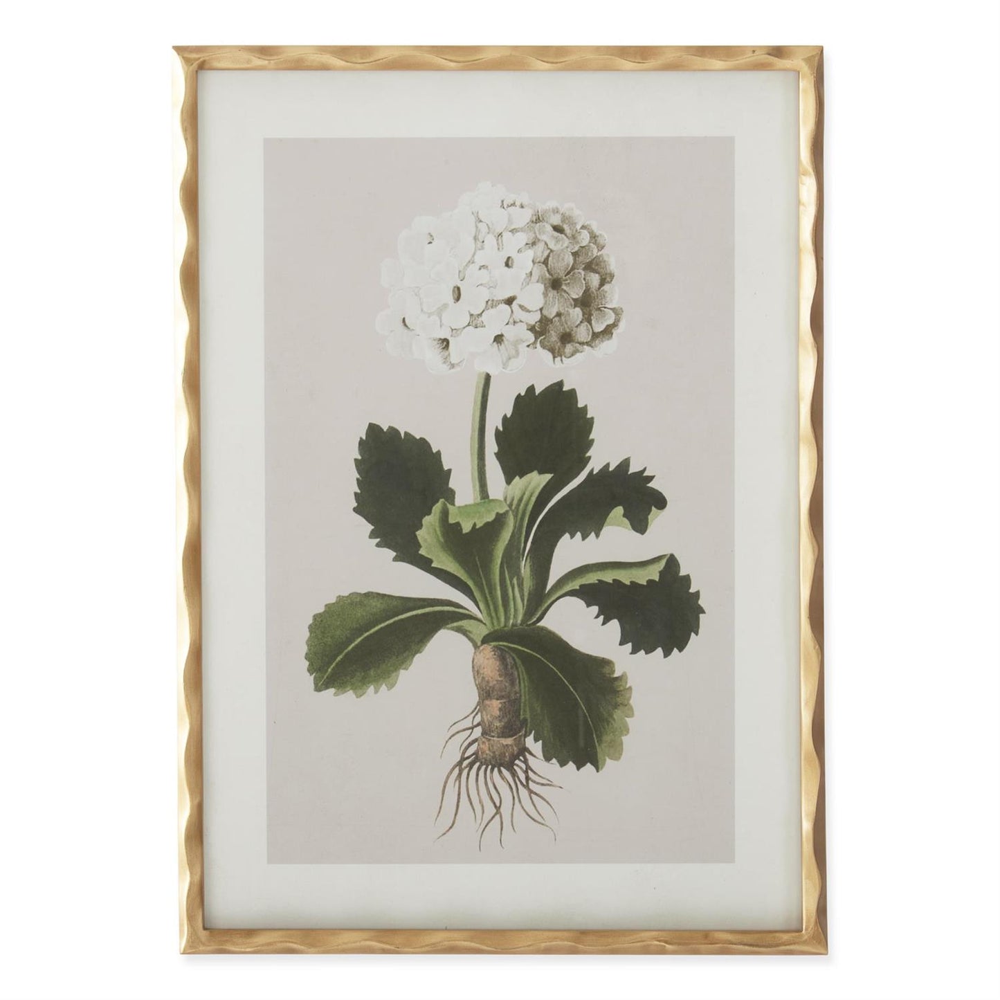 27.5 Inch Gold Ornate Wood Framed White Geranium Prints