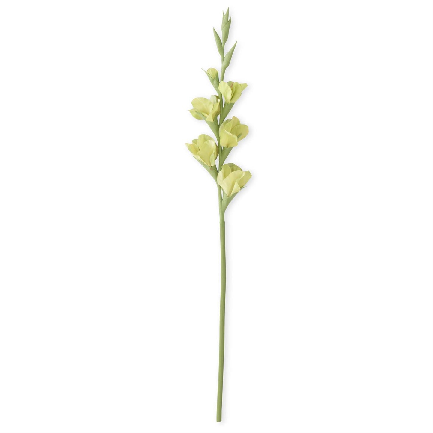 34 Inch Green Real Touch Gladiolus
