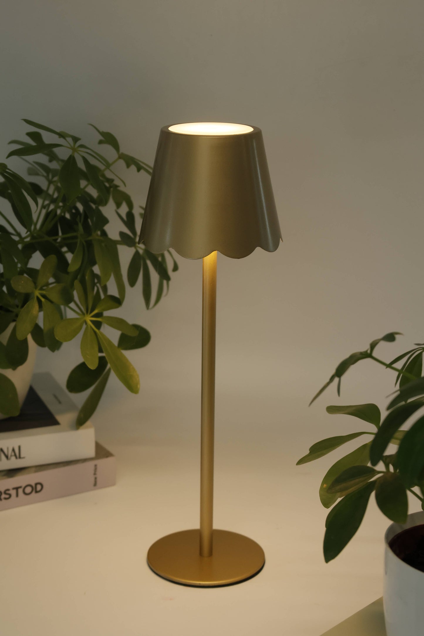 LED Lamp – Scalloped Shade