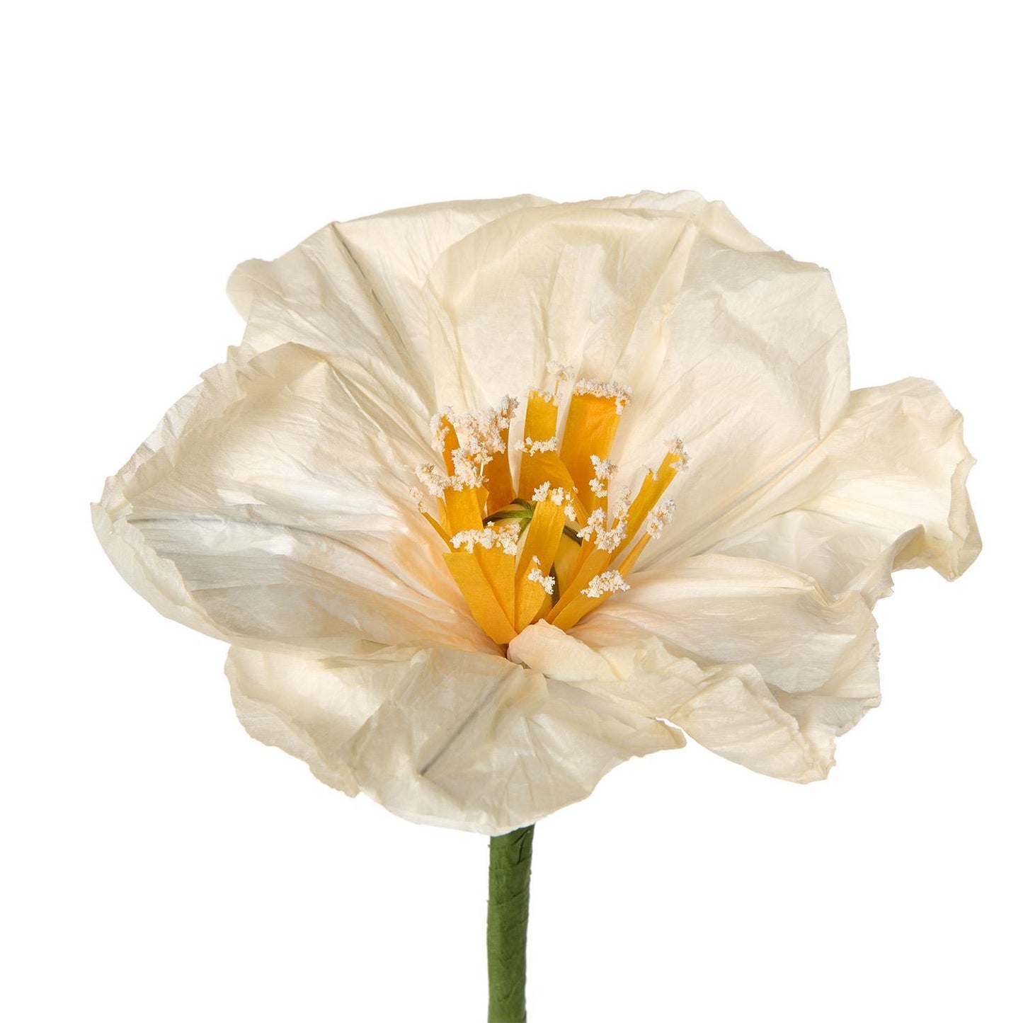 Hand-Crafted Paper Flower with Base Unit