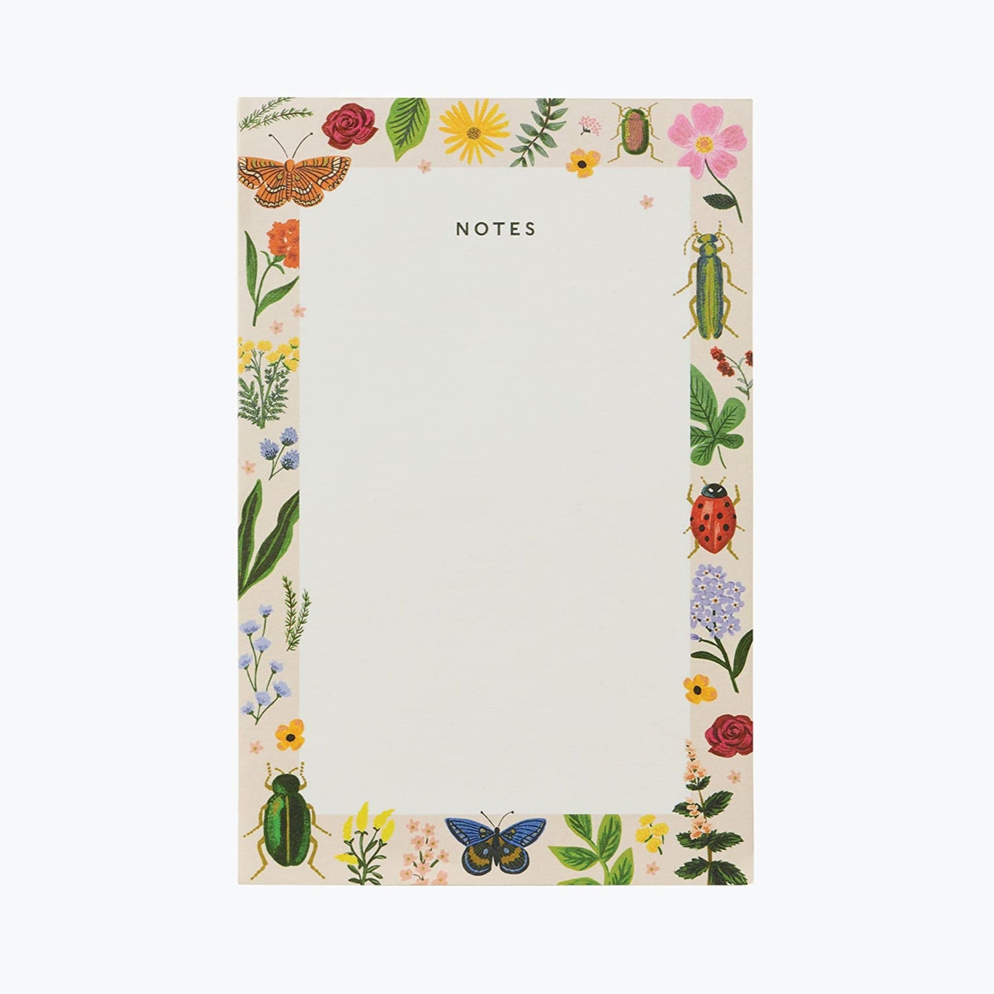 Curio Notepad