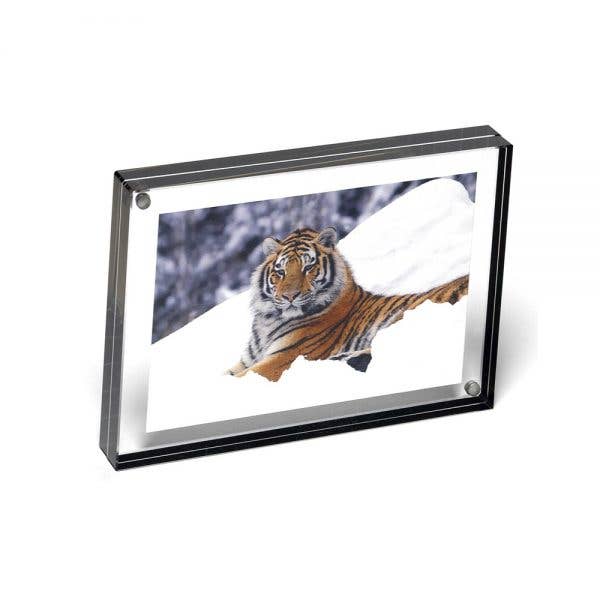 Color Edge Acrylic Magnet Frame