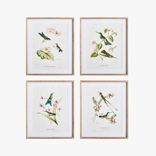 Hummingbirds With Blush Blooms