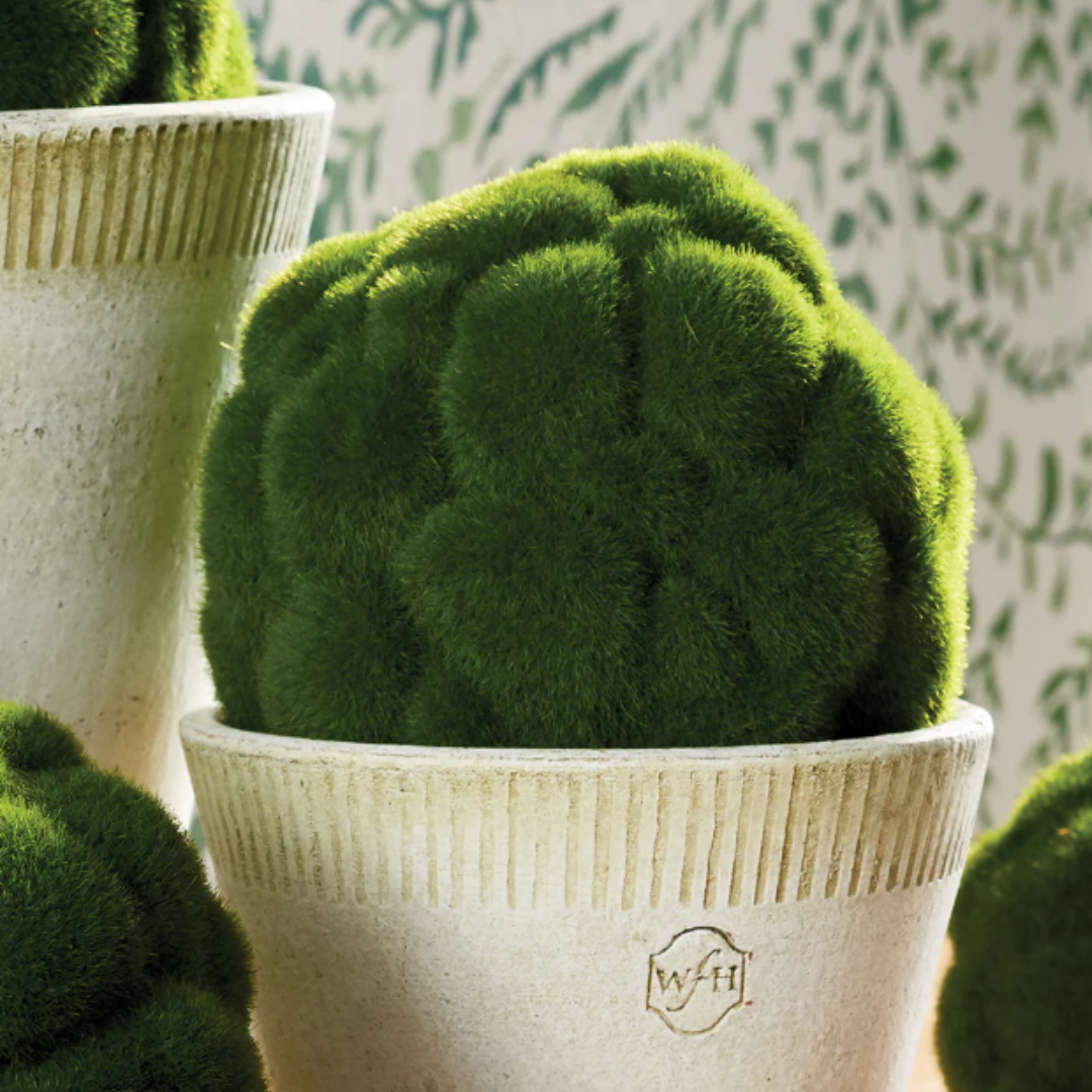 Mood Moss Orb 5.5"
