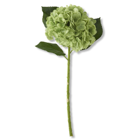 20 Inch Green Real Touch Hydrangea Stem