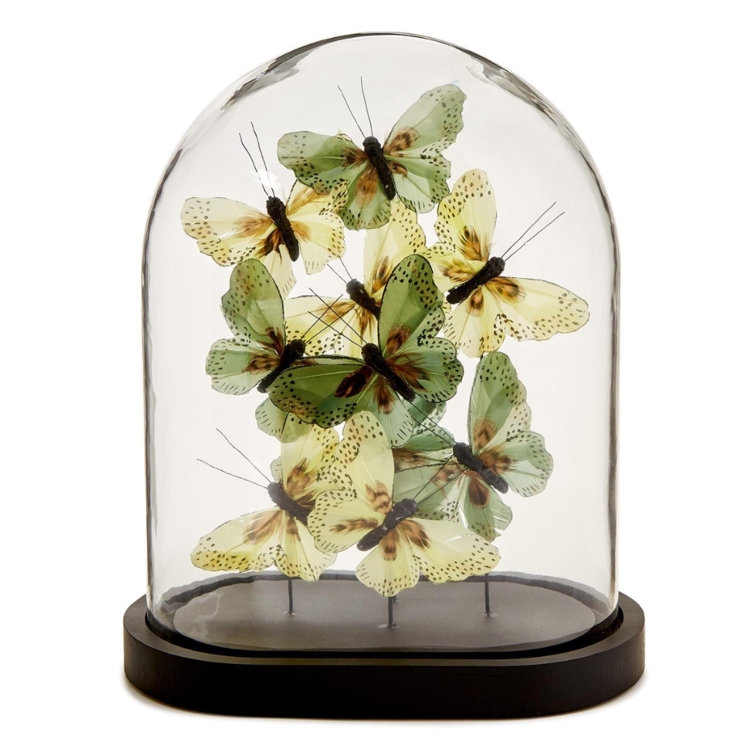 Flora and Fauna Butterflies in Oval Dome