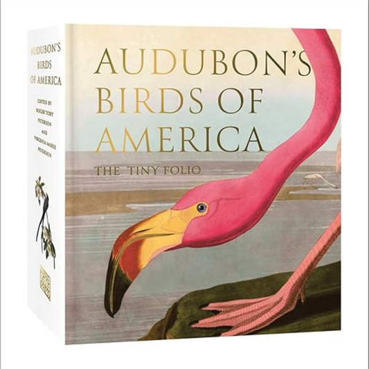 Audubon's Birds of America Tiny Folio