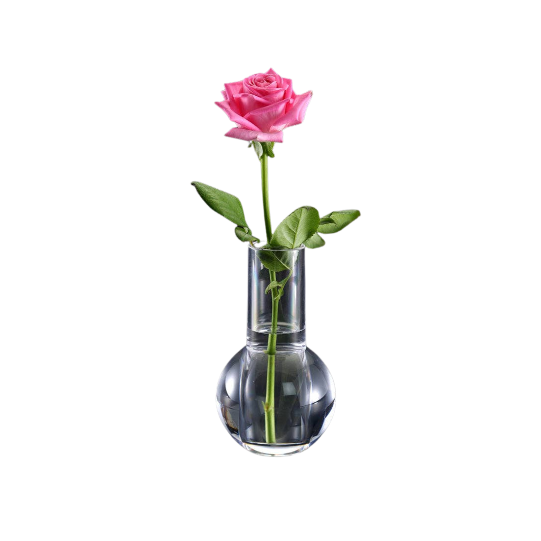 Acrylic Elegant Bud Vase